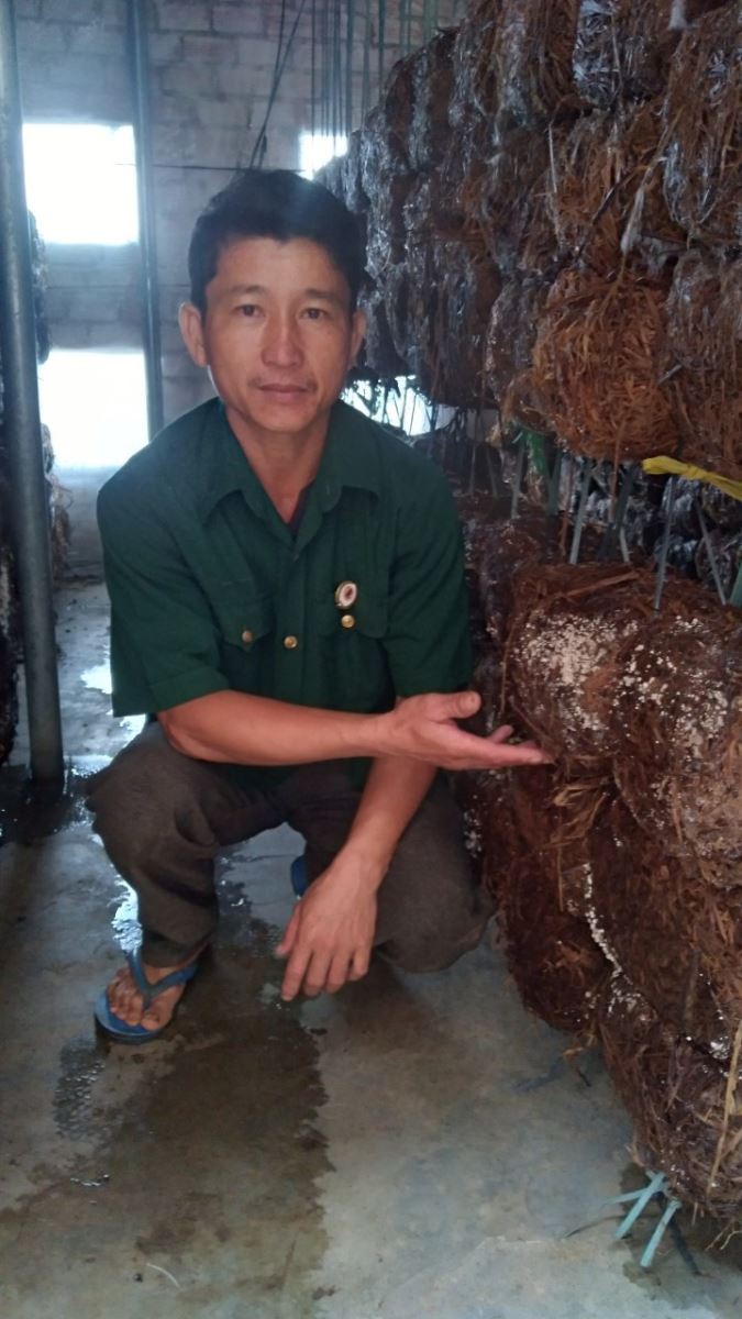 Hội viên cựu chiến binh làm giàu  từ nguồn vốn vay ngân hàng chính sách xã hội